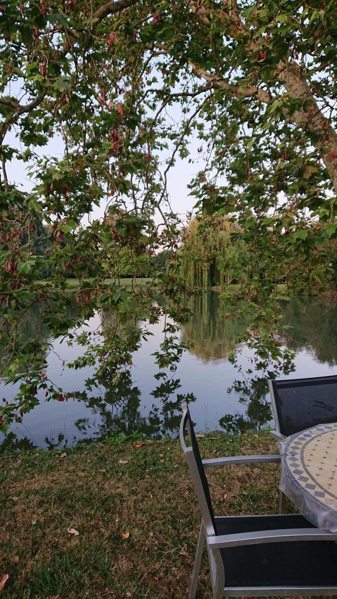Moulin Du Fief Gentil Bed and Breakfast Blere Εξωτερικό φωτογραφία